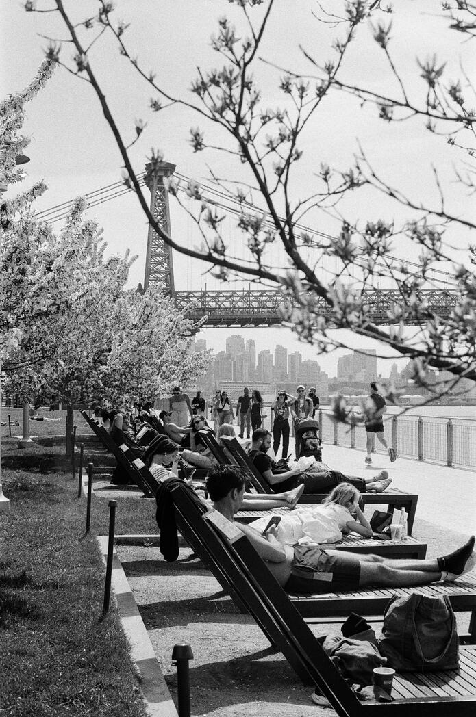 Spring at Domino Park Spring at Domino Park